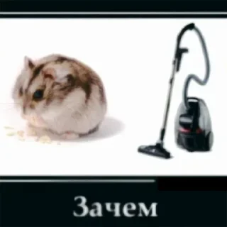 Sticker Больше стиков тут: @stikery4 - 8