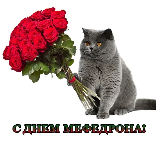 Стикер Nk - 10