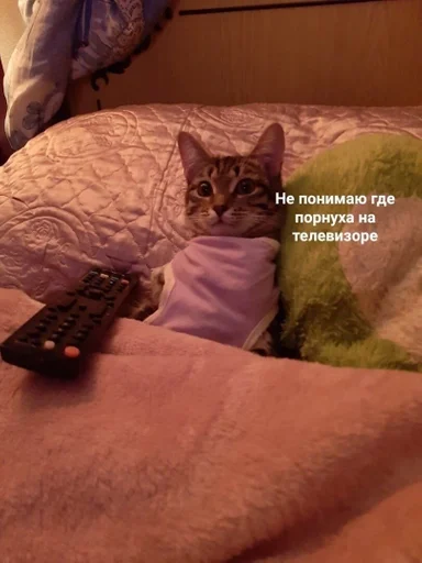 Стикер Nwstckr_by_fStikBot - 1