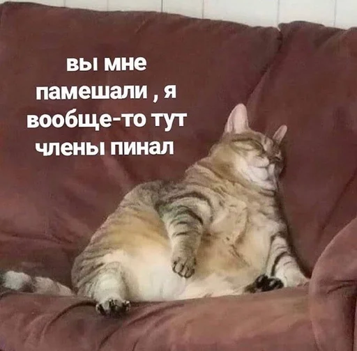 Sticker Nwstckr_by_fStikBot - 1