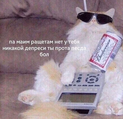 Sticker Nwstckr_by_fStikBot - 1