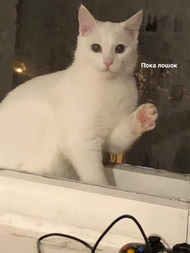 Стикер Nwstckr_by_fStikBot - 1