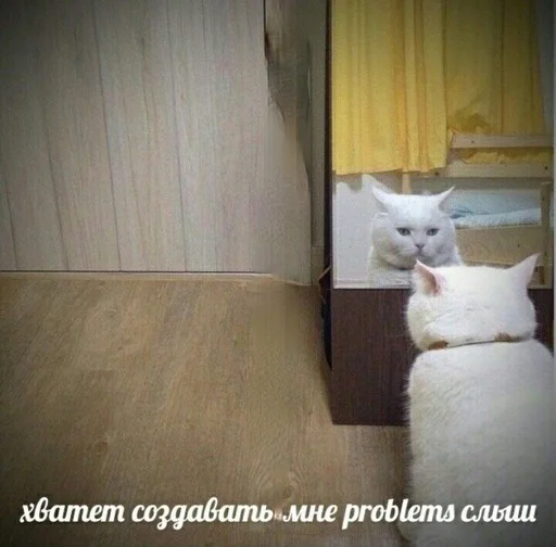 Sticker Nwstckr_by_fStikBot - 1