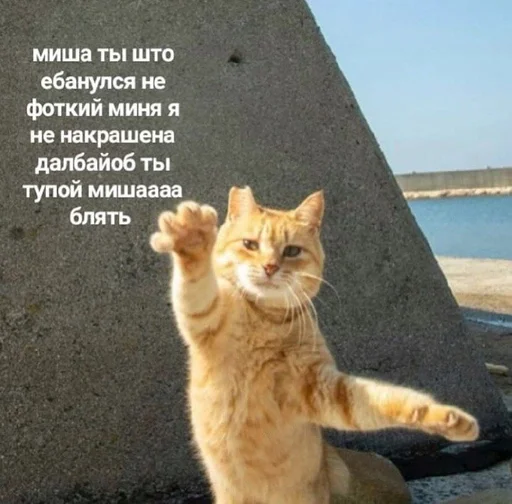 Sticker Nwstckr by @fStikBot - 11