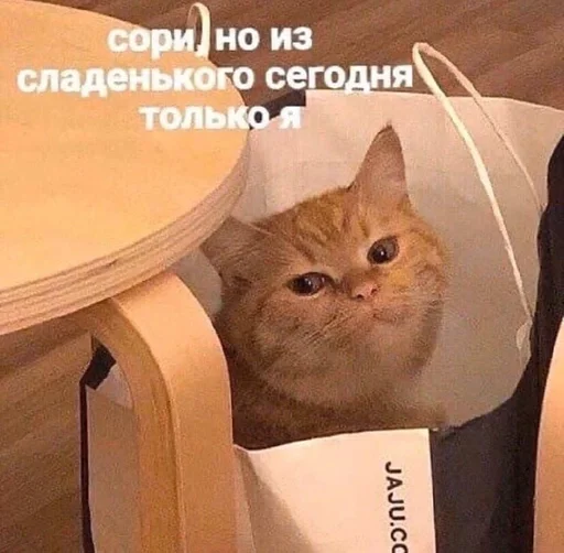 Sticker Nwstckr by @fStikBot - 8