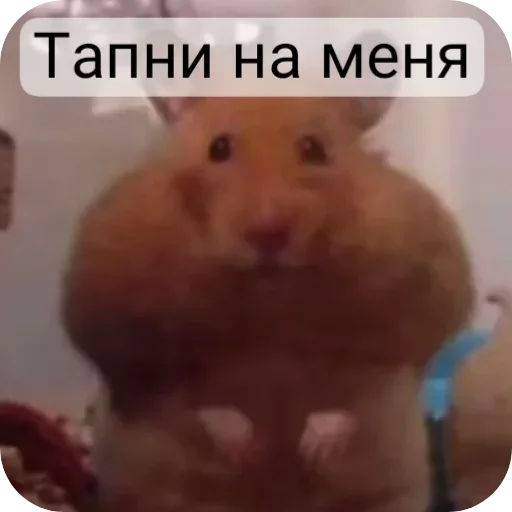 Стикер Nya7323 - 1