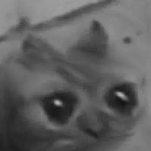 Стикер NyakoTWStick - 1