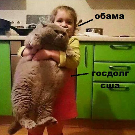 комнатный Человек стена