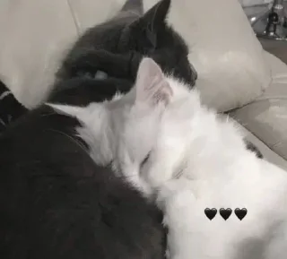 Sticker @sekstick - 3