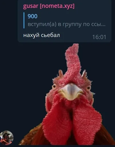 Стикер Octo+PUSSY by @fStikBot - 8