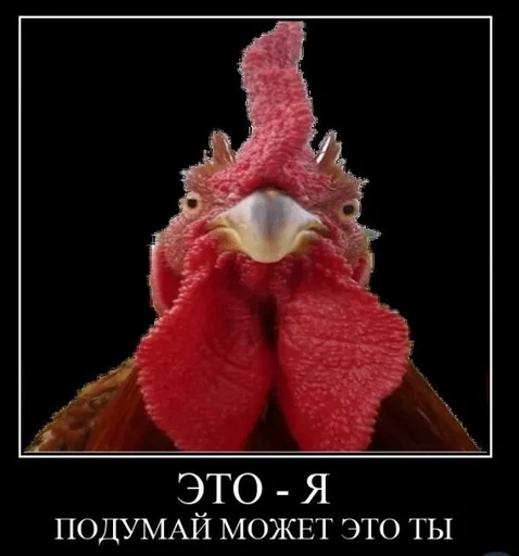 Стикер Octo+PUSSY by @fStikBot - 1