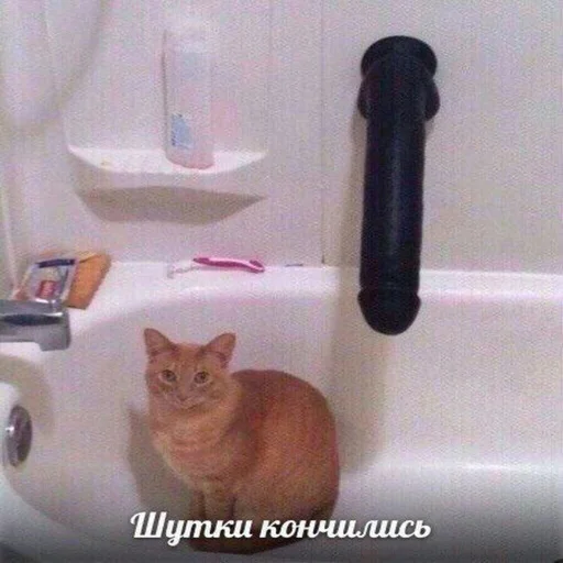 Sticker OChkoVgooVne - 1