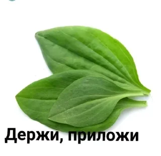 Sticker трактор в жопе @sad_kam - 11