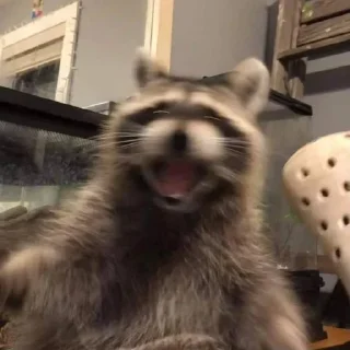 Стикер Стикеры тут 👉 @Femoji - 1