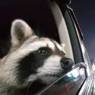 Стикер Стикеры тут 👉 @Femoji - 9