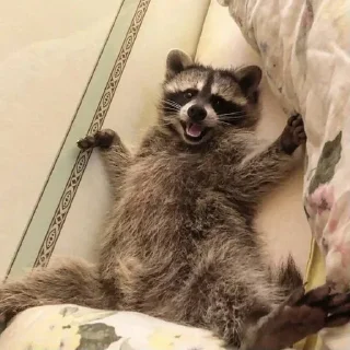 Стикер Стикеры тут 👉 @Femoji - 5