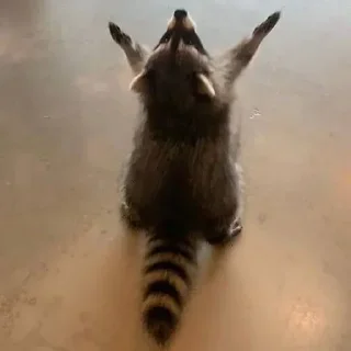 Стикер Стикеры тут 👉 @Femoji - 7