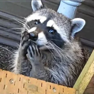 Стикер Стикеры тут 👉 @Femoji - 8