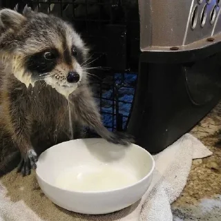 Стикер Стикеры тут 👉 @Femoji - 10