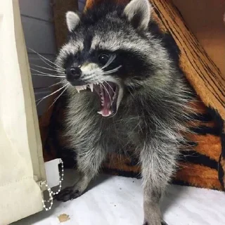 Стикер Стикеры тут 👉 @Femoji - 2