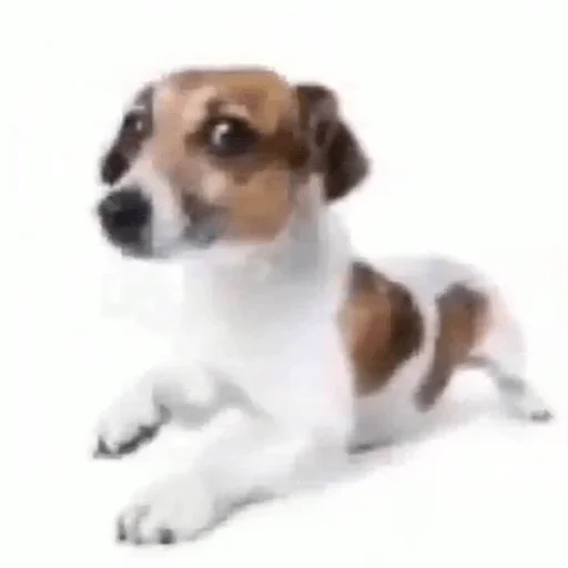 Стикер OEHUXGJEYO_by_stikeri_stikeri_bot - 1