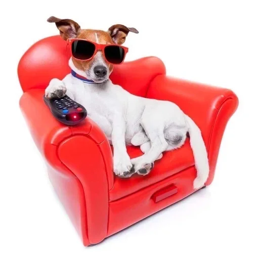 Стикер OEHUXGJEYO_by_stikeri_stikeri_bot - 1