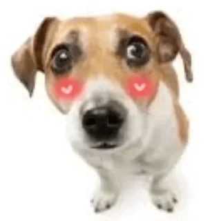 Стикер Больше стиков тут: @stikery4 - 10