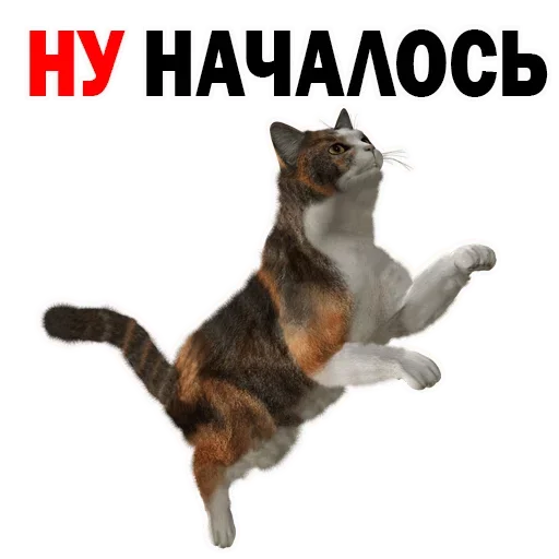 Sticker OFBILVHUPA_by_stikeri_stikeri_bot - 1