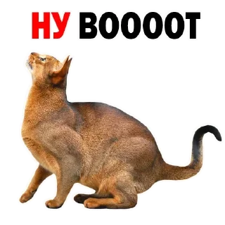 Стикер Больше стиков тут: @stikery4 - 6