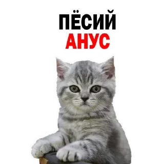 Стикер Больше стиков тут: @stikery4 - 3