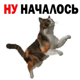 Стикер Больше стиков тут: @stikery4 - 8