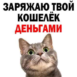 Стикер Больше стиков тут: @stikery4 - 5