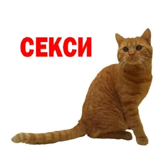 Стикер Больше стиков тут: @stikery4 - 4