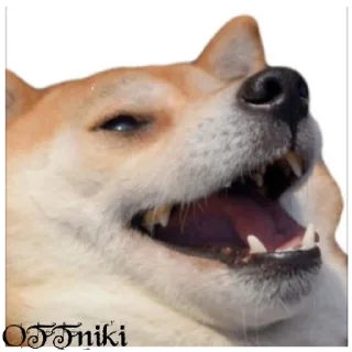 Стикер OFFniki - 9