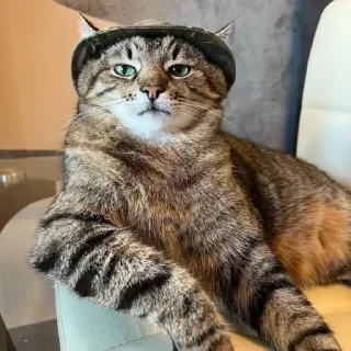 Sticker @sticksbb <— больше стиков💓💘💞 - 6