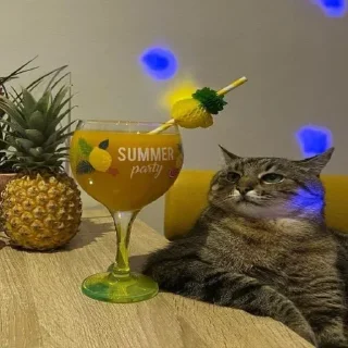 Sticker @sticksbb <— больше стиков💓💘💞 - 4