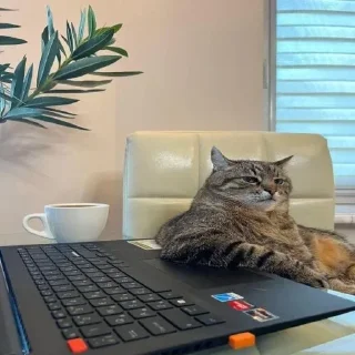 Sticker @sticksbb <— больше стиков💓💘💞 - 1