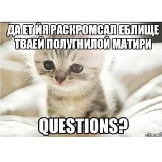 Sticker Огузокhttps://t.me/oguzok_lox - 4