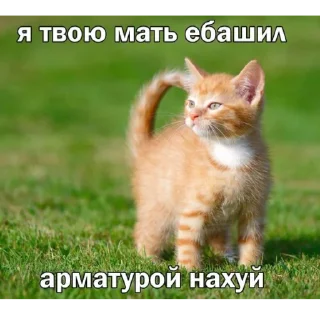 Sticker Огузокhttps://t.me/oguzok_lox - 5