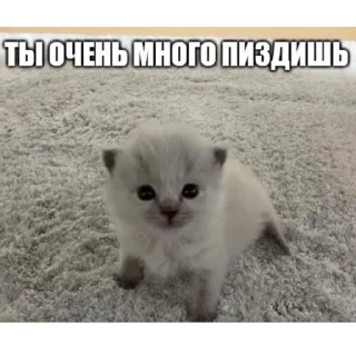 Sticker Огузокhttps://t.me/oguzok_lox - 1