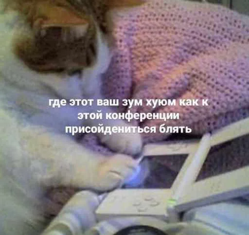 Sticker OHMYCATbymarrylavrr - 1