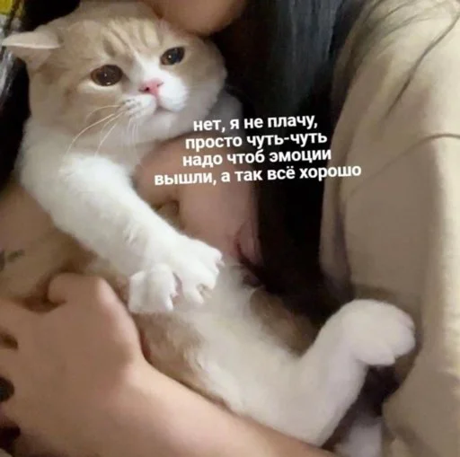 Стикер OHMYCATbymarrylavrr - 1