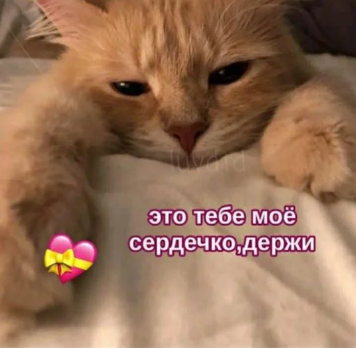 Sticker OHMYCATbymarrylavrr - 1