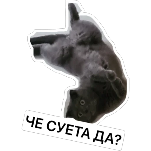 Sticker ОЗБ - 1