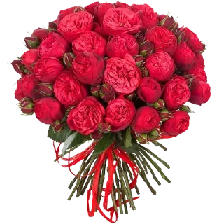 Sticker Стикеры тут: @stikeryv - 3