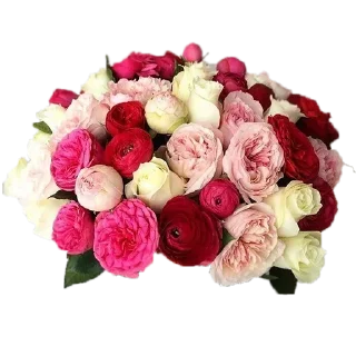 Sticker Стикеры тут: @stikeryv - 0