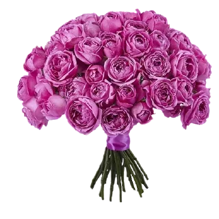 Sticker Стикеры тут: @stikeryv - 8