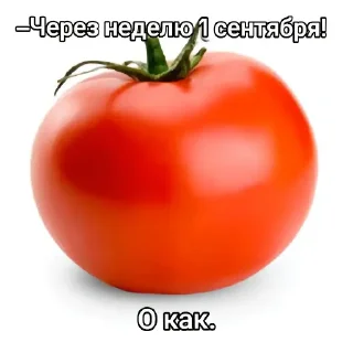 tomato vegetable natural foods