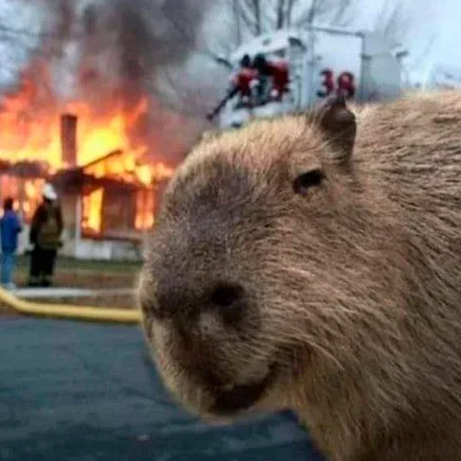 Sticker OMtMnYGPYHddLiaY_by_stickers_stealer_bot - 1