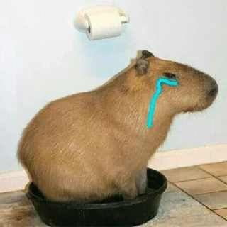 Стикер Больше стикеров: @sticerru - 3